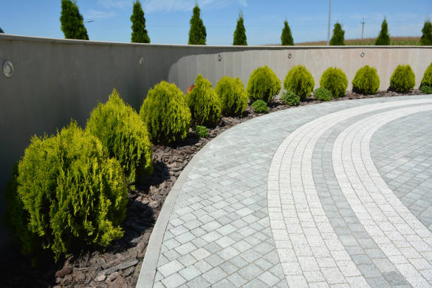 Best Decorative Driveway Pavers  in Deer Lodge, MT